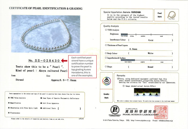 18k Gold Top Grading Aurora HANADAMA Akoya Pearl Necklace KN00025 - PEARLY LUSTRE