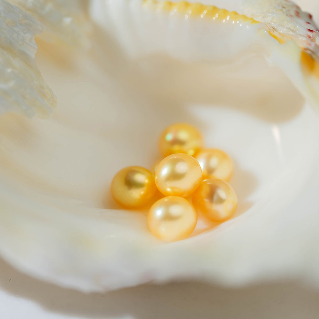 Drop Shape Golden Saltwater Pearl WA00021 - PEARLY LUSTRE