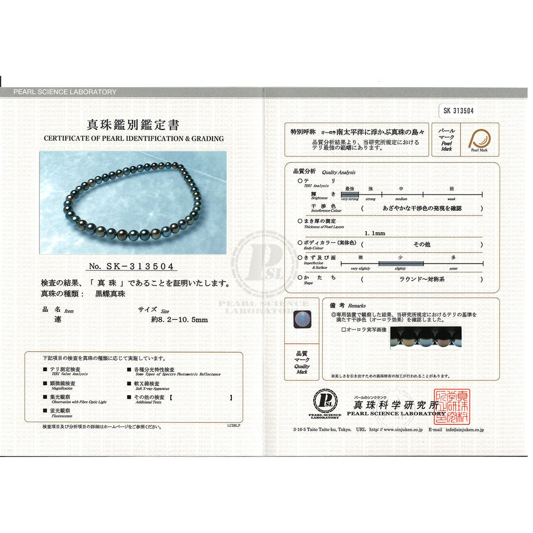 18k Emas Tulen Aurora PEACOCK Rantai Mutiara Tahiti KN00100