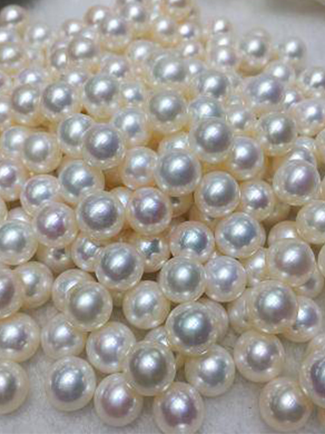 Latest Harvest 2026 Saltwater Pearls HV00003