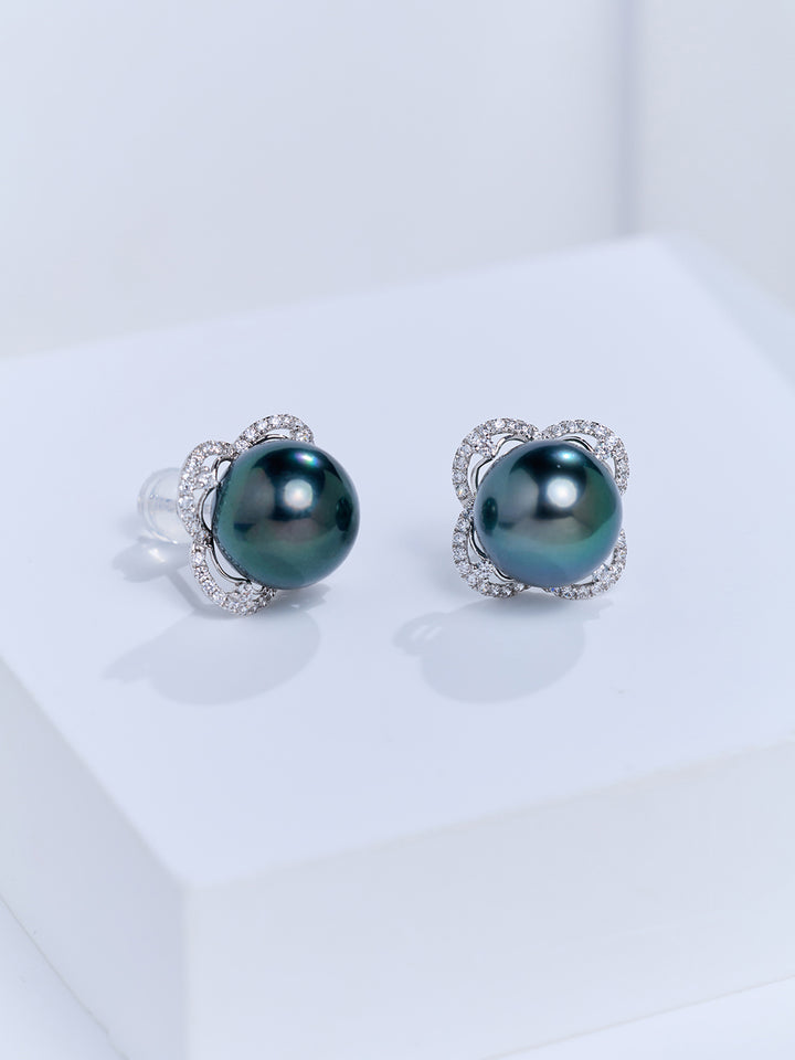 Top Lustre 18K Gold Tahitian Pearl Earrings KE00312