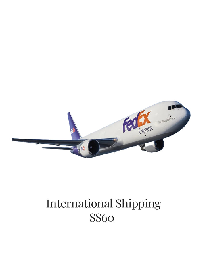 海外运输费用 PM00018