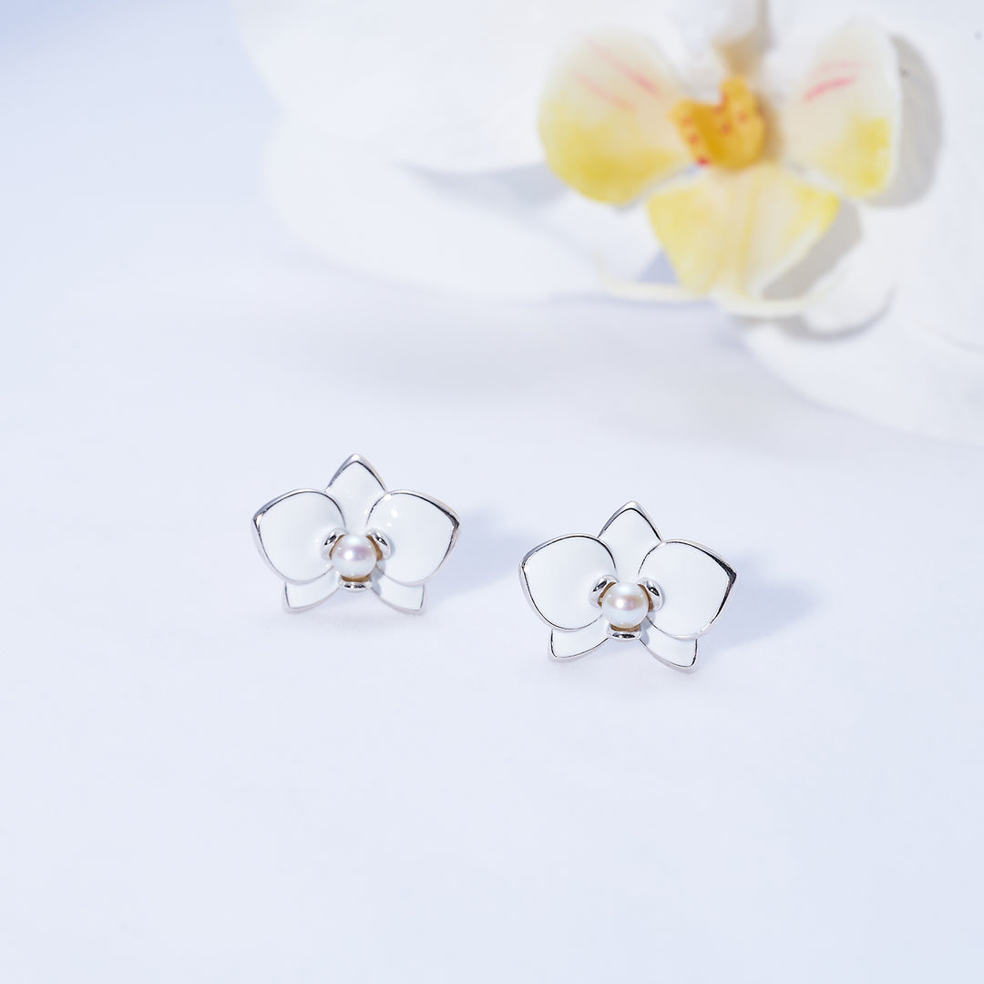 Conjunto de perlas de agua dulce de primera calidad WS00119 | ORQUÍDEA