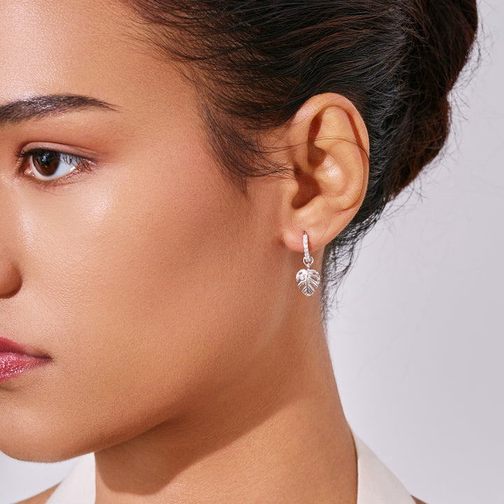 顶级淡水珍珠耳环 WE00952 | 野生动物园