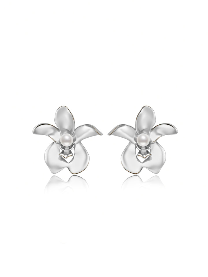 Top Grade Freshwater Pearl Earrings WE01072 | ORCHID