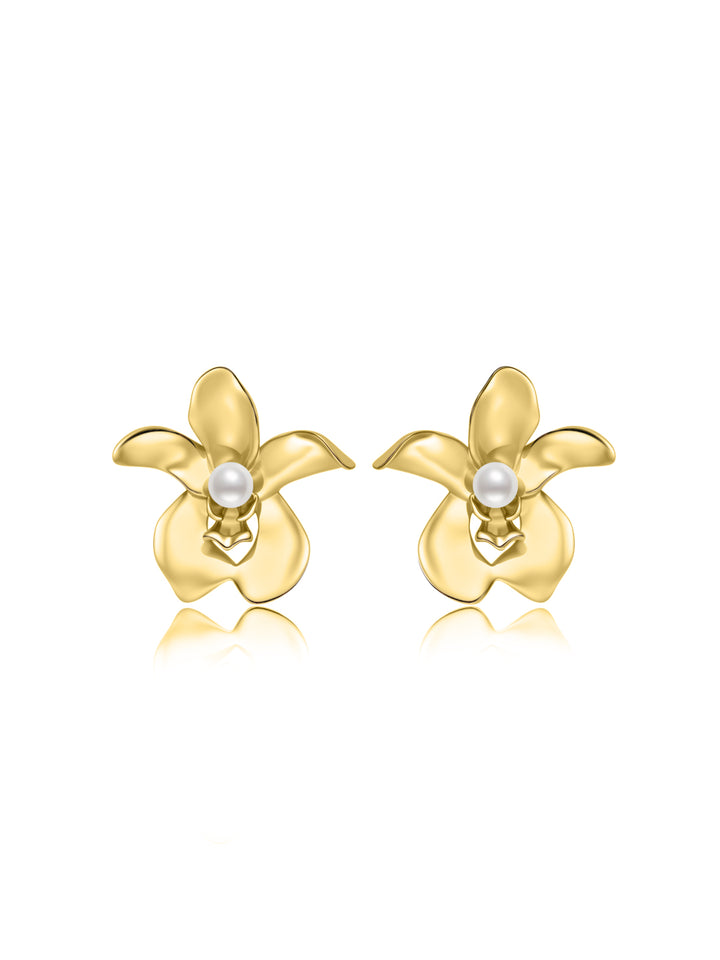 Pendientes de perlas de agua dulce de máxima calidad WE01089 | ORCHID
