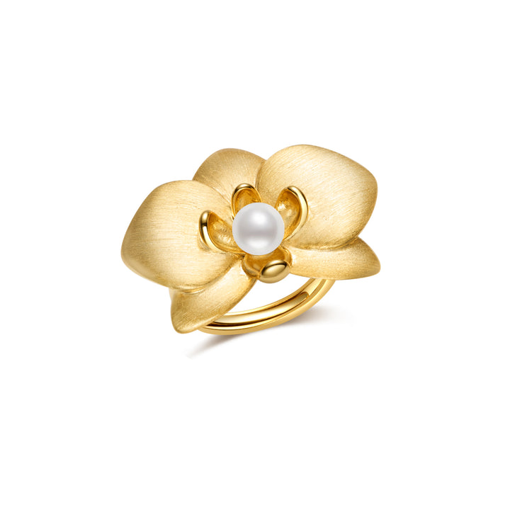 Anillos de Perlas de Agua Dulce de Alta Calidad WR00317 | ORQUÍDEA