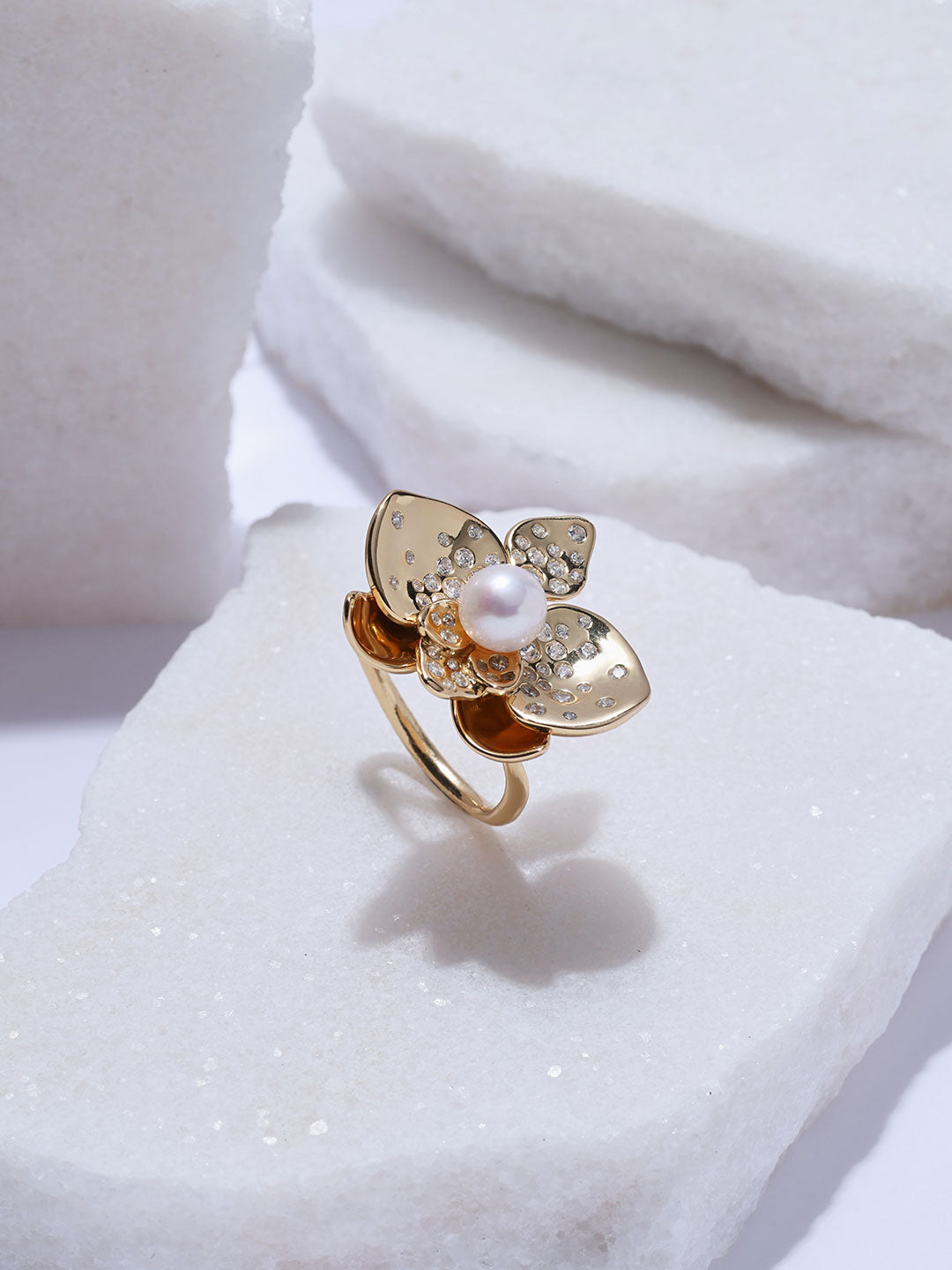 Anillos de perlas de agua dulce de calidad superior WR00496| ORCHID
