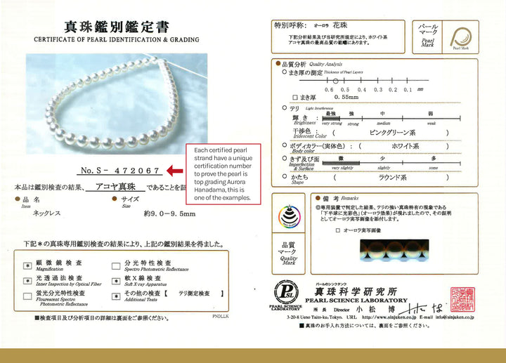 18k Gold Top Grading Aurora HANADAMA Akoya Pearl Necklace KN00025 - PEARLY LUSTRE