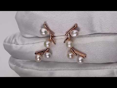 Pendientes elegantes de perlas de agua dulce WE00430 | JARDINES