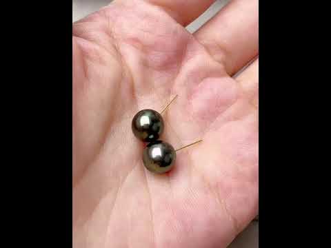 Perles de Tahiti rondes de qualité supérieure WA00006